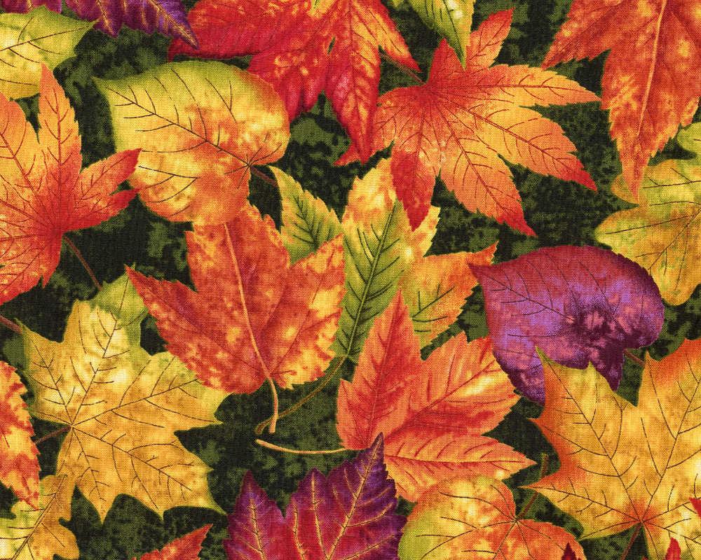 Autumn Album - Leaves