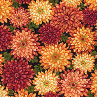 Autumn Album - Blossoms