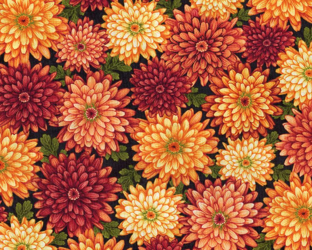 Autumn Album - Blossoms