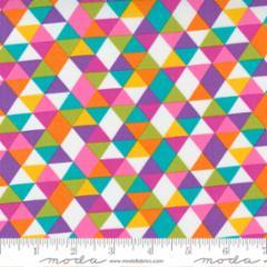 Petal Power-Rainbow