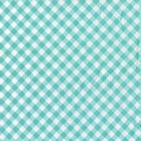 Retro Road Trip-gingham