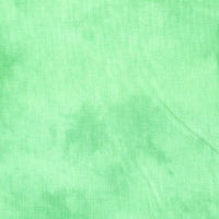 Palette Solids Mint