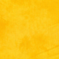Palette Solids Daffodil