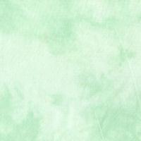 Palette Solids Minty Green