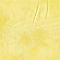 Palette Solids Little Yellow