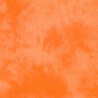 Palette Solids Guava