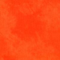 Palette Solids Tangerine