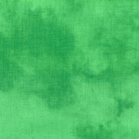 Palette Solids This Green