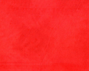 Palette Solids Just Red