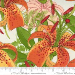 Carolina Lilies-Large Flower -Cream