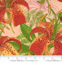 Carolina Lilies-Large Flower -Peach