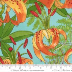 Carolina Lilies-Large Flower -Aqua