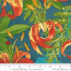 Carolina Lilies-Large Flower -Teal