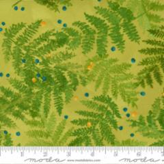 Carolina Lilies-Ferns -Grass