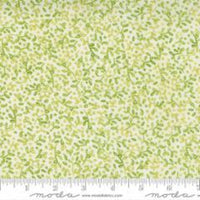 Carolina Lilies-Leaves -Cream Grass