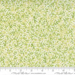 Carolina Lilies-Leaves -Cream Grass