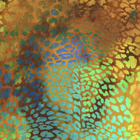 Safari Panel 0