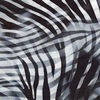 Zebra Skins 108"