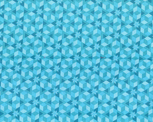 Diving Board - Starfish