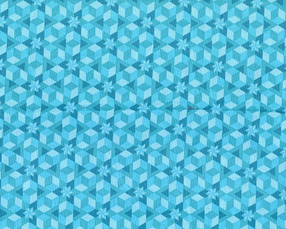 Diving Board - Starfish