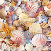 Beach-Shells