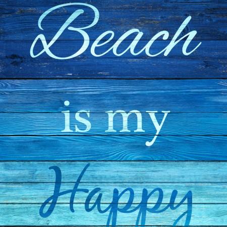 Beach Is My Happy Place Panel