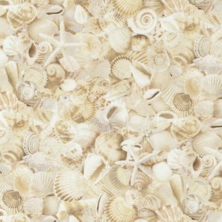 Beach Natural Packed Seashells