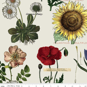 Art Journal Botanicals