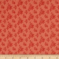 Sail Away Coral 0