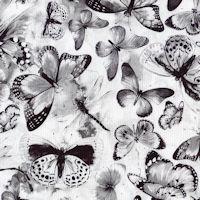 Fantasy-Monochrome Butterflies