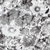 Fantasy-Monochrome flowers