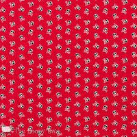 Blackbeard's Pirates Red