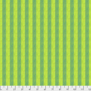 Shot Cannon Stripe Narrow  Stripe by Kafee Fassett Gooseberry Narrow Stripe