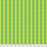 Shot Cannon Stripe Narrow  Stripe by Kafee Fassett Gooseberry Narrow Stripe
