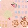 Happy Place Blush Bicycles