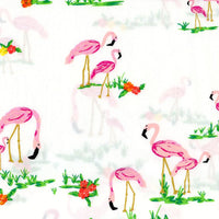 West Palm Flamingo 0