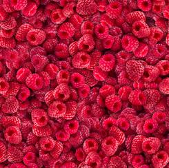 Fresh-Raspberries