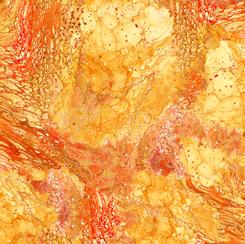 Fusion II-Surge Orange