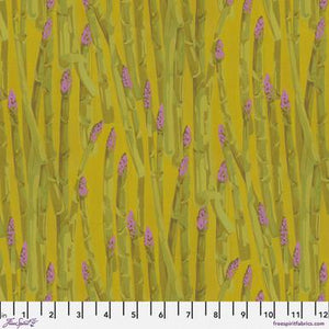Garden Asparagus Stripe by Martha Negley
