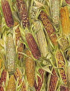 Harvest-Corn Stock
