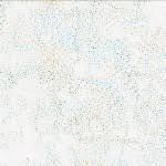 Hoffman-Harbor Bali Dots Batik