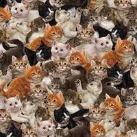 Literary Kitties-Cats