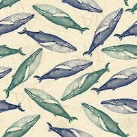 My 7 Seas-Blue Whales