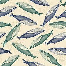 My 7 Seas-Blue Whales