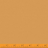 Nature Study-Turmeric  -Hexie
