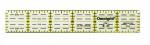 Omnigrid Ruler 1 x 6