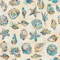 Pacifica Shell Toss
