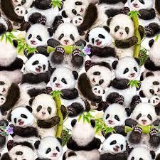 Panda Sanctuary-Packed Pandas