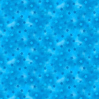 PartyLine Blue Tonal Stars