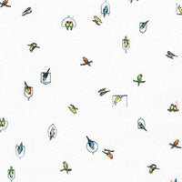 Petit-Parakeets